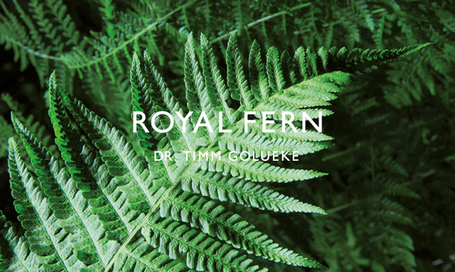 ROYAL FERN - SM The Beauty